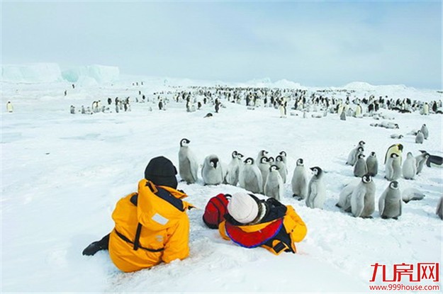 元旦春节出境游升温 到南极过年受青睐——九房网