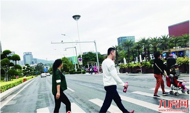 厦门岛外首批斑马线前不礼让行人 将罚300元记3分——九房网