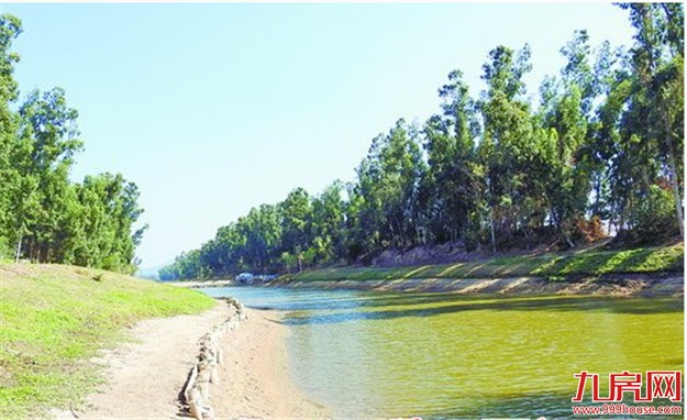 厦门将对全市九条主要溪流465公里河道进行安全生态水系建设——九房网