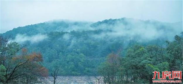 最强冷空气来袭 厦门降温幅度可达9℃～12℃——九房网