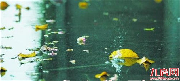 最强冷空气来袭 厦门降温幅度可达9℃～12℃——九房网