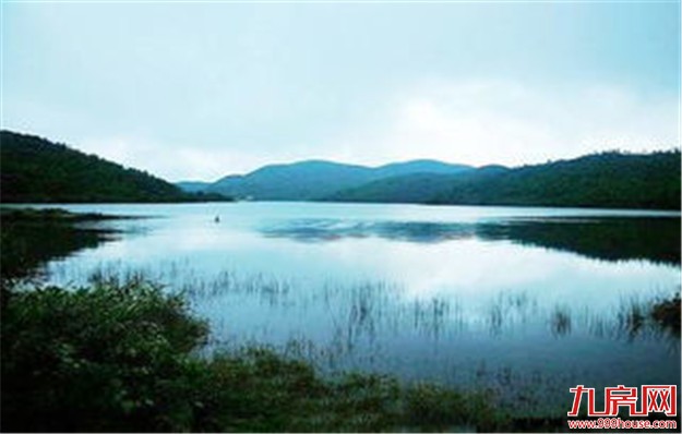 这6大“明星盘”，10年前你未错过，现在就是千万富豪！——九房网