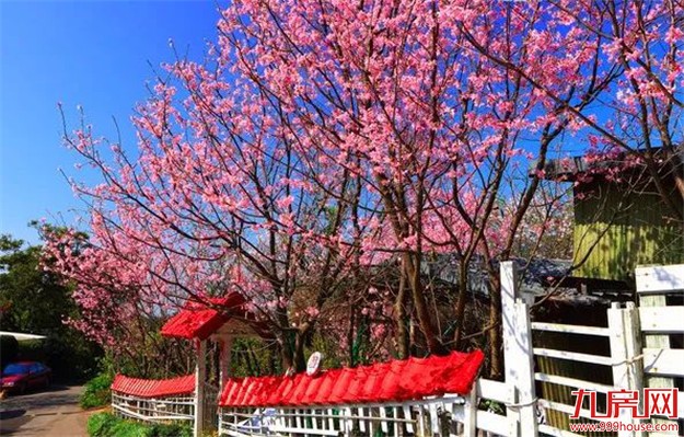 寻访半山｜阳明山，精英们的选择为什么总那么相似？——九房网