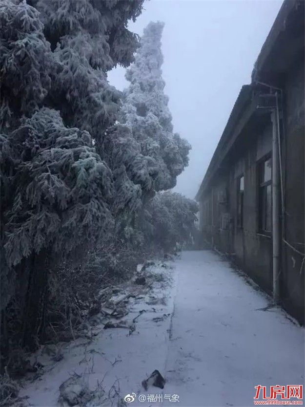 大半个福建都下雪啦！-3℃，厦门或创新低温！春节天气是…——九房网