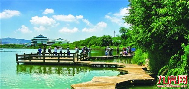 3.73万公顷！厦门湿地总面积保持稳定 生态环境日益变好——九房网