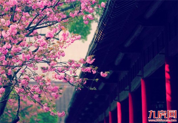 造园有术:待得青山入园来,赋予人生草木香——九房网 造园有术:待得青山入园来,赋予人生草木香——九房网