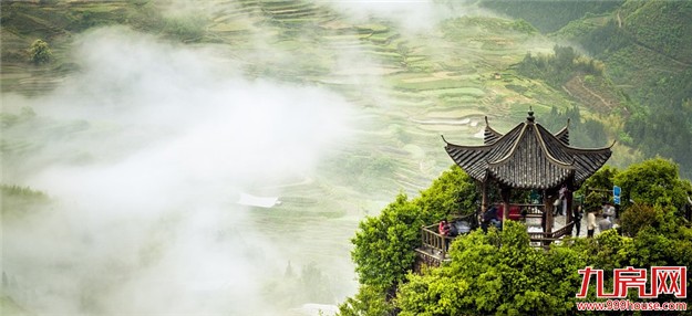 造园有术:待得青山入园来,赋予人生草木香——九房网 造园有术:待得青山入园来,赋予人生草木香——九房网