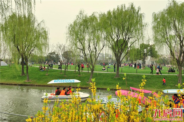 春节期间 白鹭洲灯光秀“不放假”供市民游客参观 ——九房网