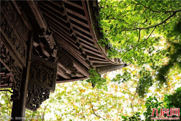 坚守一线OR回流二线?这是个问题——九房网 坚守一线OR回流二线?这是个问题——九房网