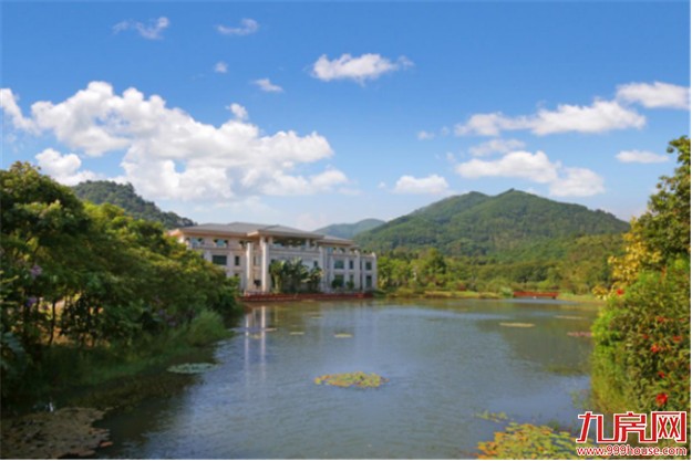 碧桂园登顶之路——九房网