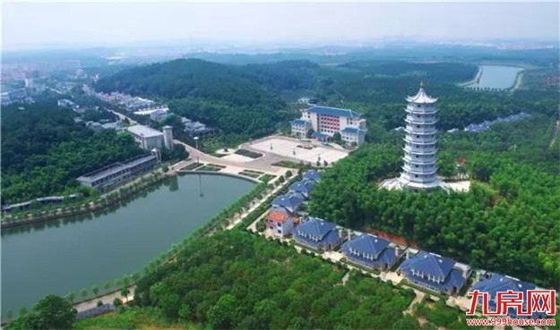 乡村振兴战略系列政策将推出 新型农业主体获可观发展机会——九房网 乡村振兴战略系列政策将推出 新型农业主体获可观发展机会——九房网