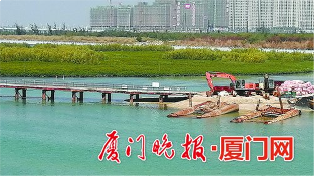 下潭尾滨海湿地公园新增红树林种植区 建木栈桥和栈道——九房网