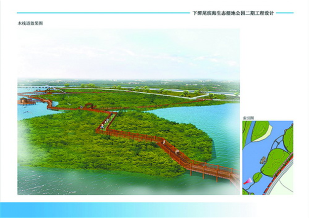 下潭尾滨海湿地公园新增红树林种植区 建木栈桥和栈道——九房网