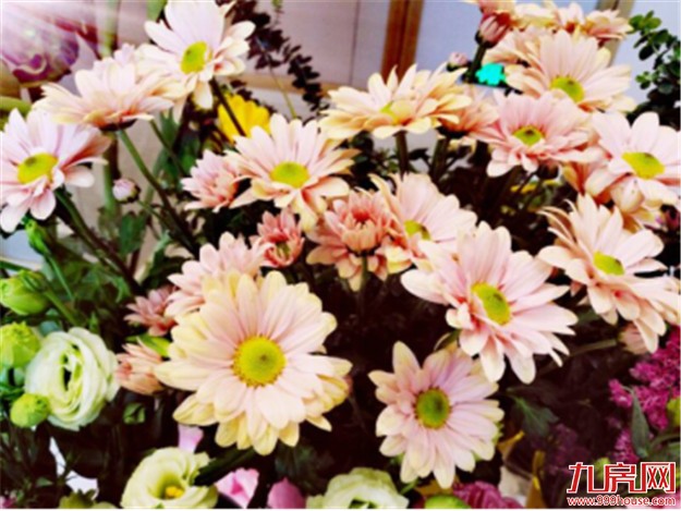 “女神”间的聚会:精彩花絮揭秘——九房网 “女神”间的聚会:精彩花絮揭秘——九房网