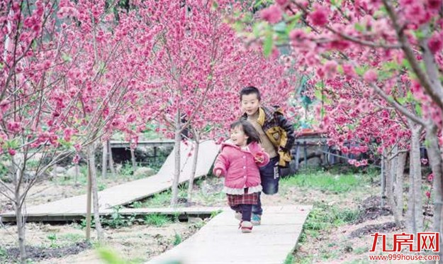 春天到同安赏别样山水田园风光 品特色农家菜肴——九房网