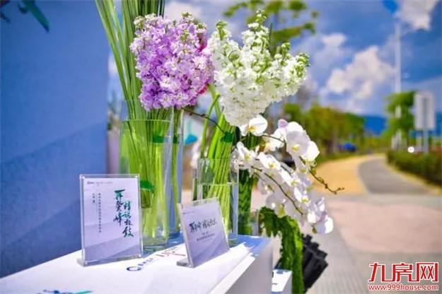 再登峰 ：千亿禹洲，精筑东岸朗廷——九房网