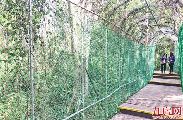 忠仑公园观鸟长廊换上绿色新装 将安排工作人员巡查——九房网