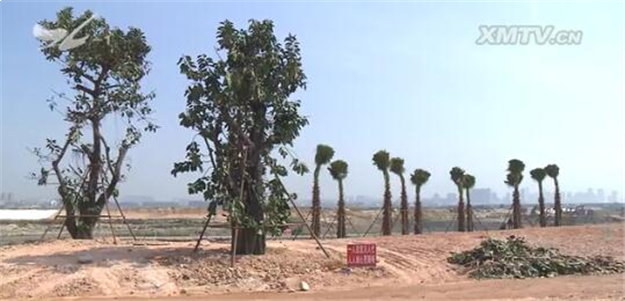 厦门房产,厦门房地产,厦门新房,九房网,厦门房产 厦门房产,厦门房地产,厦门新房,九房网,厦门房产