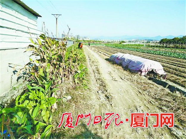 厦门房产,厦门房地产,厦门新房,九房网,厦门房产