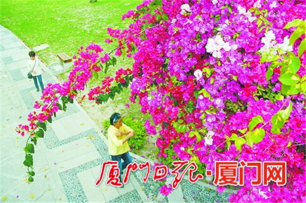 厦门房产,厦门房地产,厦门新房,九房网,厦门房产