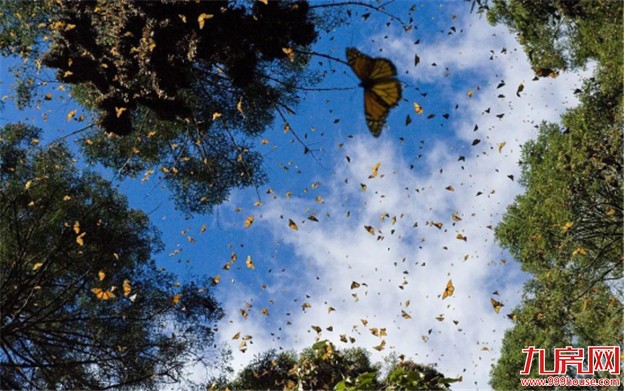 南京楼市高位盘整： 调控加压下 人才优惠影响有限——九房网