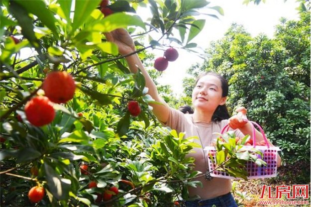 中骏四季花都：总经理特惠，仅10席特价房限时购！——九房网
