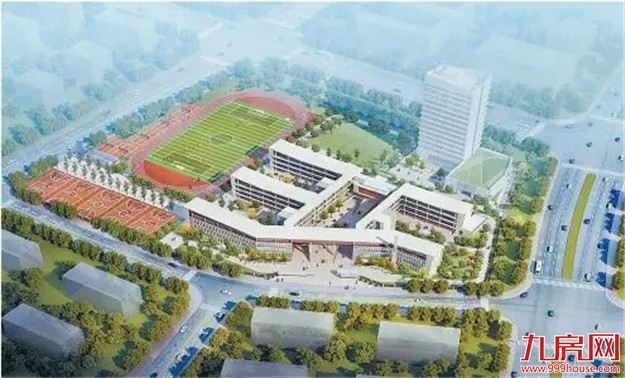 家长们，别再往岛内挤！这些“重量级”名校在岛外建校区啦！——九房网