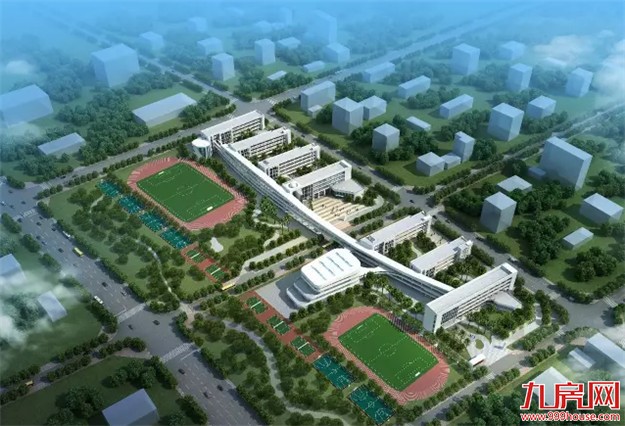 家长们，别再往岛内挤！这些“重量级”名校在岛外建校区啦！——九房网