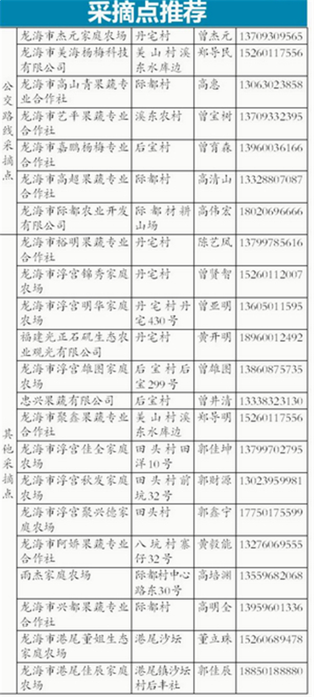 浮宫五万亩杨梅等您采摘 最全采摘点推荐!——九房网 浮宫五万亩杨梅等您采摘 最全采摘点推荐!——九房网