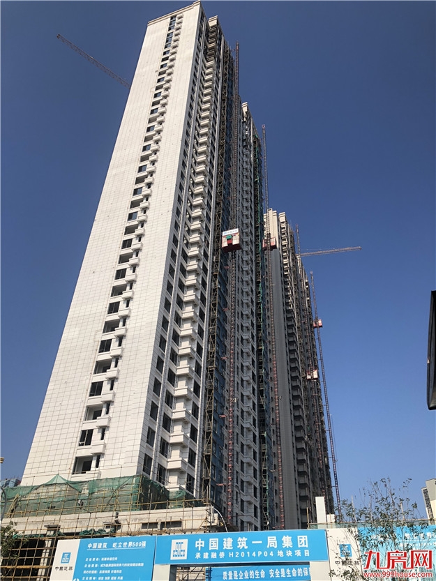 踩盘记|坐拥岛外最强配套，这个片区全面开挂！5大楼盘最新动态曝光！——九房网