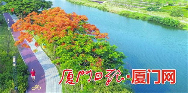 扮靓一条溪开启新生活 同安43万平方米湿地公园惊艳亮相——九房网
