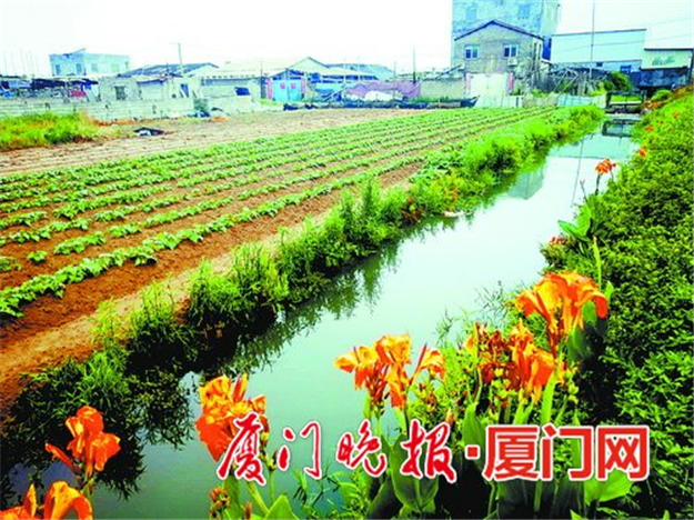 同安区祥平街道两个民生补短板项目通过验收——九房网