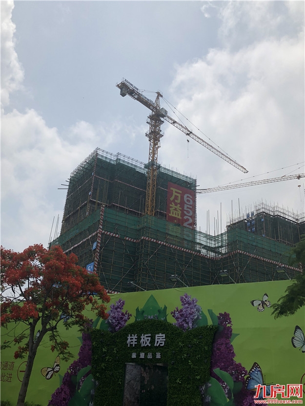 踩盘记｜这个区域低调到可怕！大半年没开盘，在售房源更是少的可怜…——九房网