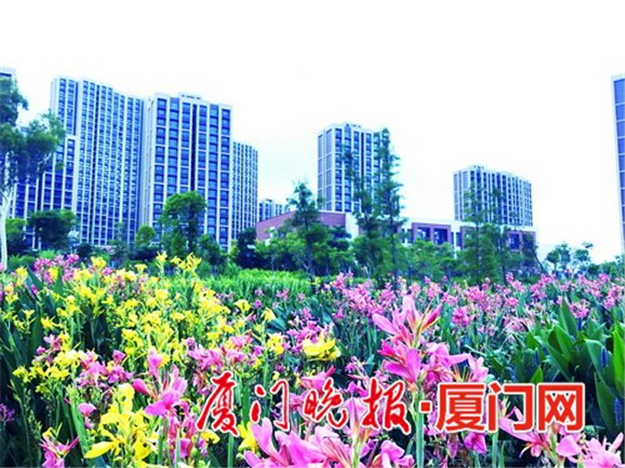 厦门房产,厦门房地产,厦门新房,九房网,厦门房产