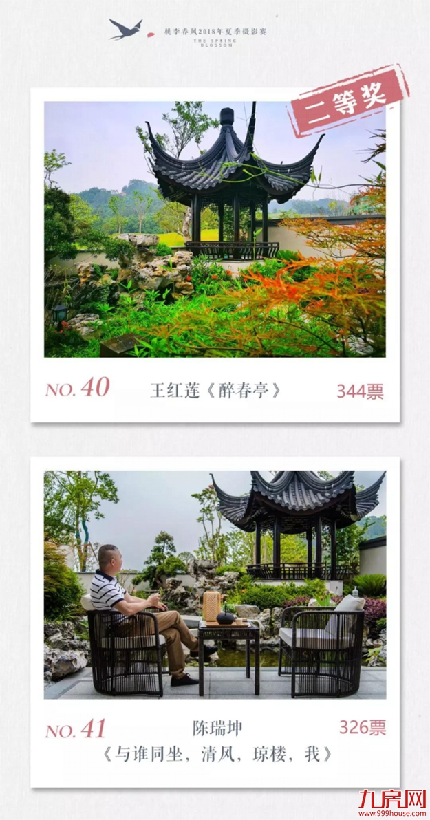 投票公示 ：心有桃李自在开，影像里的小镇时光——九房网