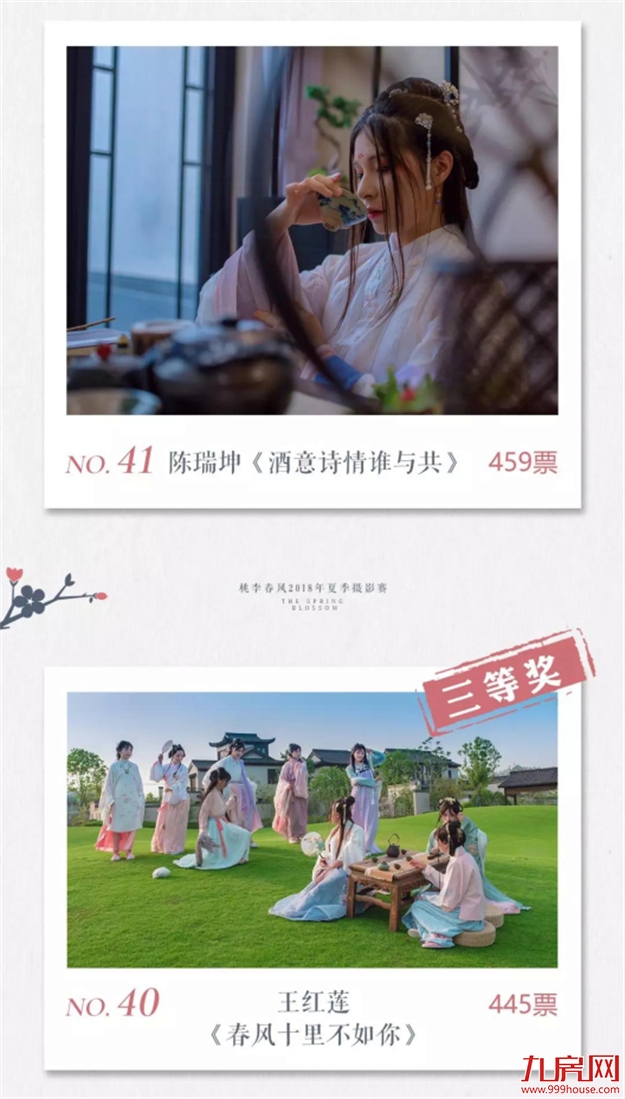 投票公示 ：心有桃李自在开，影像里的小镇时光——九房网