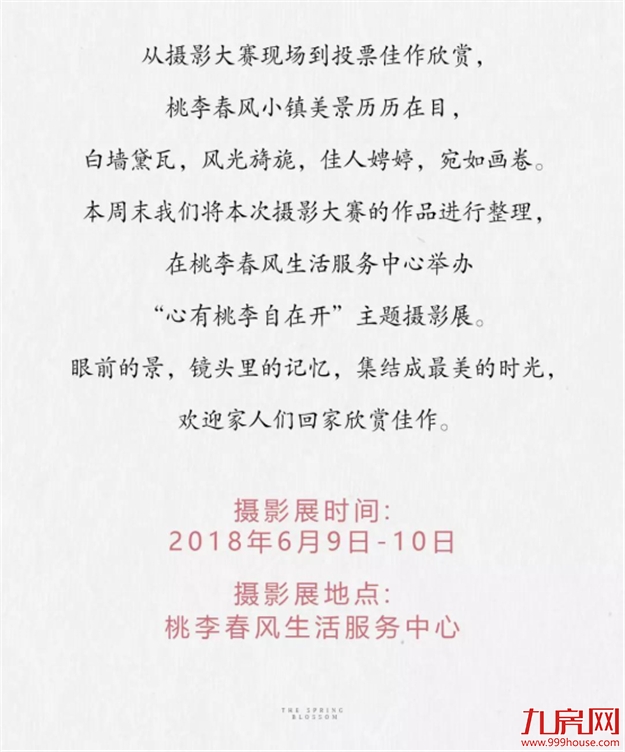 投票公示 ：心有桃李自在开，影像里的小镇时光——九房网