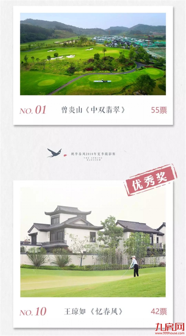 投票公示 ：心有桃李自在开，影像里的小镇时光——九房网