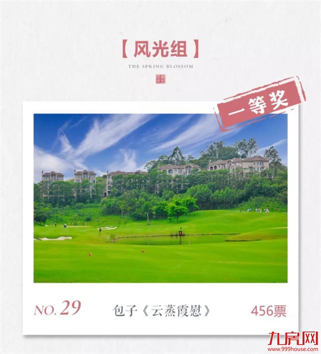 投票公示 ：心有桃李自在开，影像里的小镇时光——九房网