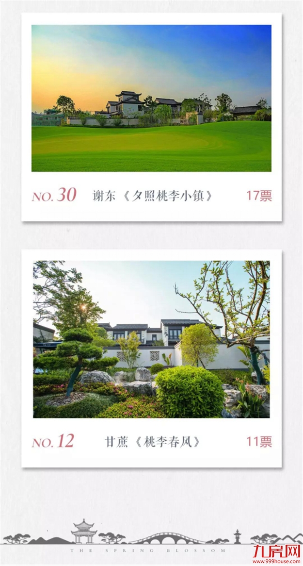 投票公示 ：心有桃李自在开，影像里的小镇时光——九房网