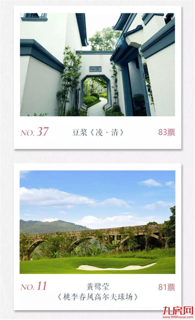 投票公示 ：心有桃李自在开，影像里的小镇时光——九房网