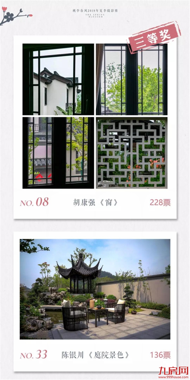 投票公示 ：心有桃李自在开，影像里的小镇时光——九房网