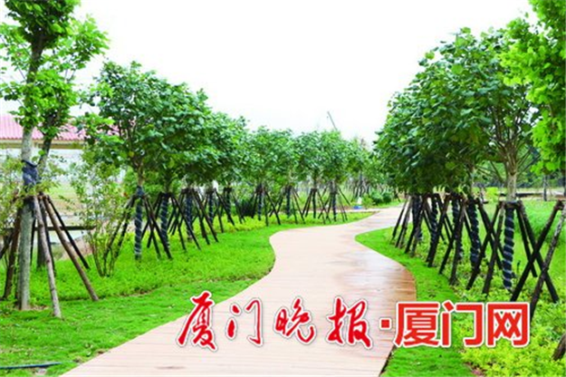 下钟宅公园预计下月开园 生态公园总建设面积3.1万平方米——九房网 下钟宅公园预计下月开园 生态公园总建设面积3.1万平方米——九房网