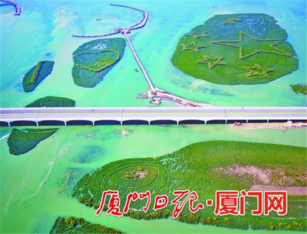 下潭尾湿地公园二期8月底前种完红树林——九房网