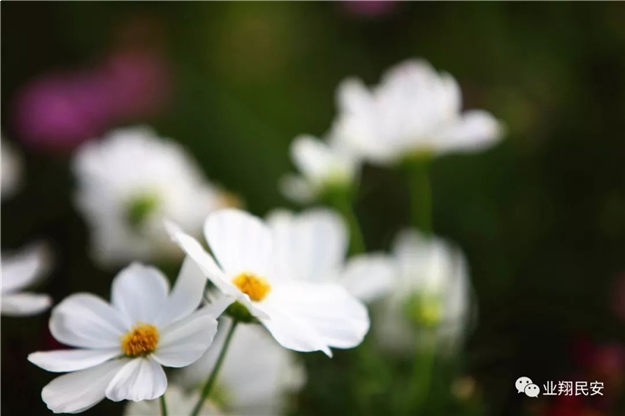 好消息！翔安再添一座“海绵公园”！——九房网