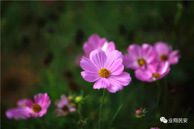 好消息！翔安再添一座“海绵公园”！——九房网