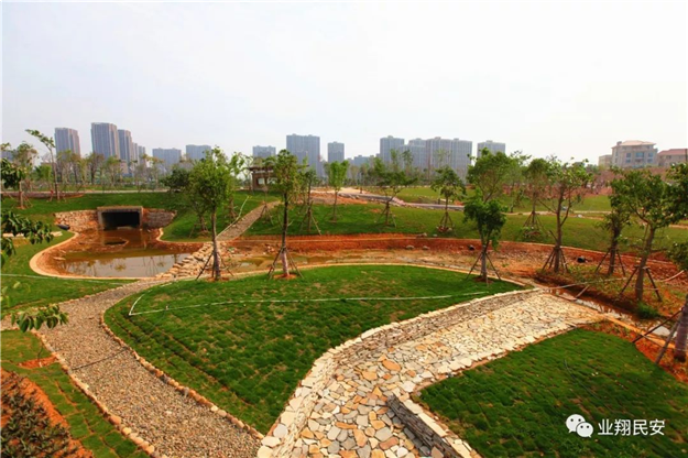 好消息！翔安再添一座“海绵公园”！——九房网