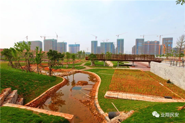 好消息！翔安再添一座“海绵公园”！——九房网