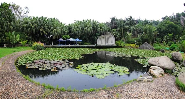 重磅！新华社播发长篇通讯《习近平同志推动厦门经济特区建设发展的探索与实践》——九房网