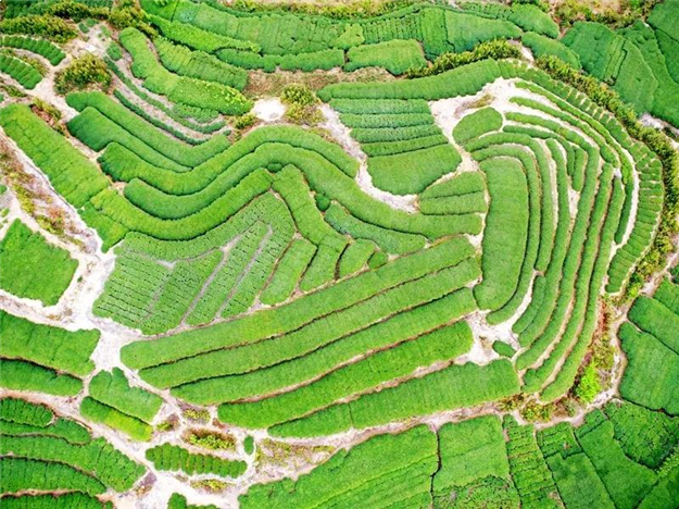 重磅！新华社播发长篇通讯《习近平同志推动厦门经济特区建设发展的探索与实践》——九房网